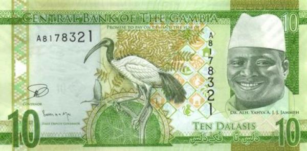 ÐнеÑний вид 10 (деÑÑÑи) гамбийÑкиÑ
далаÑи (авеÑÑ)