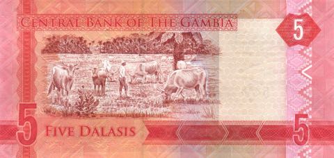 ÐнеÑний вид 5 (пÑÑи) гамбийÑкиÑ
далаÑи Ñ Ð¸Ð·Ð¾Ð±Ñажением ÑÑада кÑÑпного ÑогаÑого ÑкоÑа на вÑпаÑе (ÑевеÑÑ)