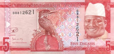 ÐнеÑний вид 5 (пÑÑи) гамбийÑкиÑ
далаÑи (авеÑÑ)